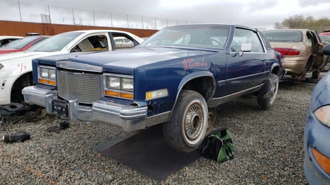 Junkyard Gem: 1981 Cadillac Eldorado