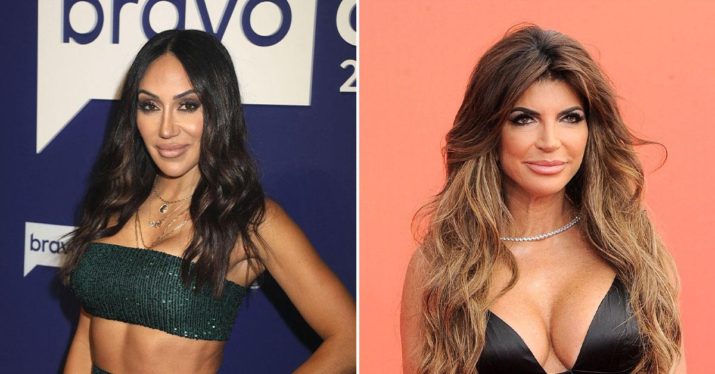 &quot;On Pause&quot;: Teresa Giudice & Melissa Gorga Feud Leads To RHONJ Season 14 Delay