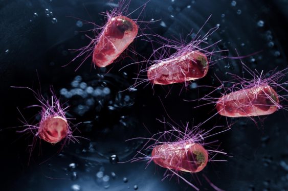 Scientists Have Created Cancer-Fighting E. Coli Bacteria