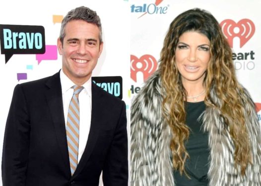 Teresa Giudice Claims Filming RHONJ Was “Hard” For Her Marriage