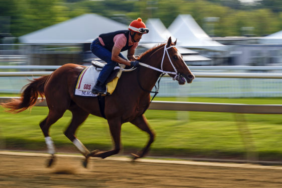 Where to watch the 2023 Preakness Stakes: How to live stream the horse race for free