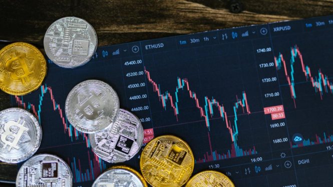 5 of the best free cryptocurrency courses available this week