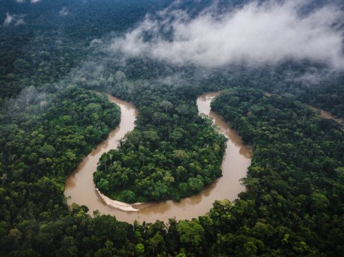 A Looming El Niño Could Dry the Amazon