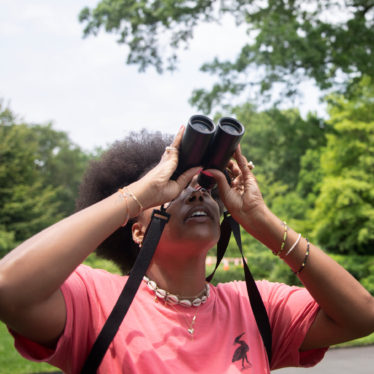 Alli Smith, of the Cornell Ornithology Laboratory, offers beginner tips for exploring the wide world of birds.