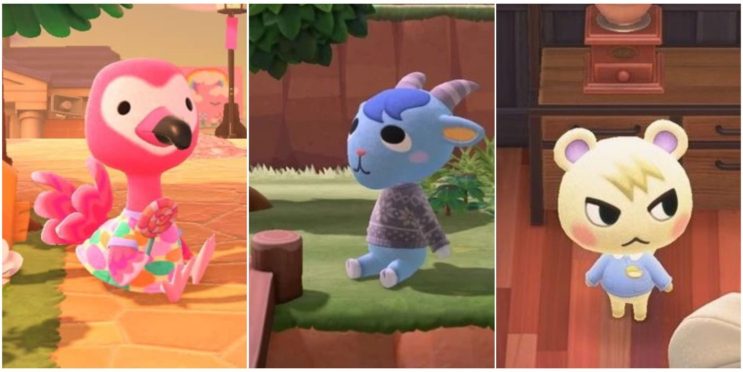 Animal Crossing: 10 Best Villagers In The Franchise, Ranked