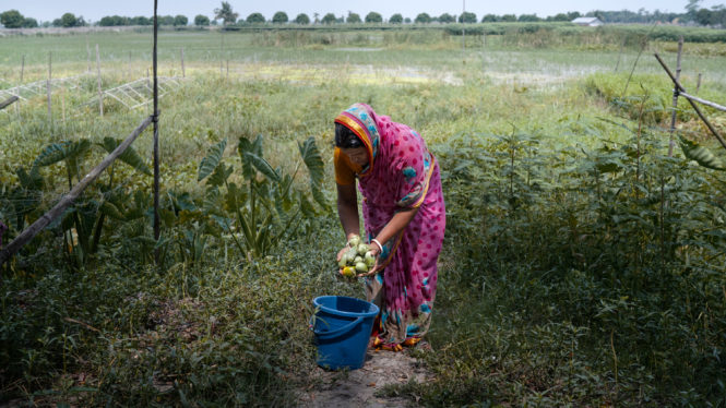 Bangladesh Offers a Glimpse of the Water Crises of Tomorrow