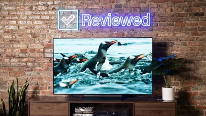 Best 55-Inch TVs (Updated 2023)