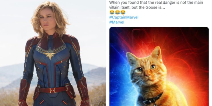 Captain Marvel: 7 Memes That Perfectly Sum Up The Movie