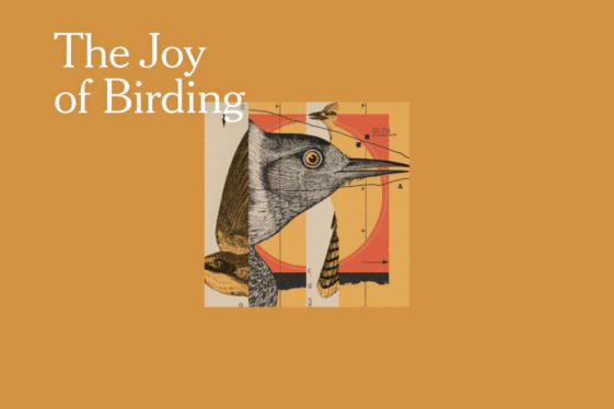 Christian Cooper and Amy Tan on How Birding Brings Them Joy: a Live Event