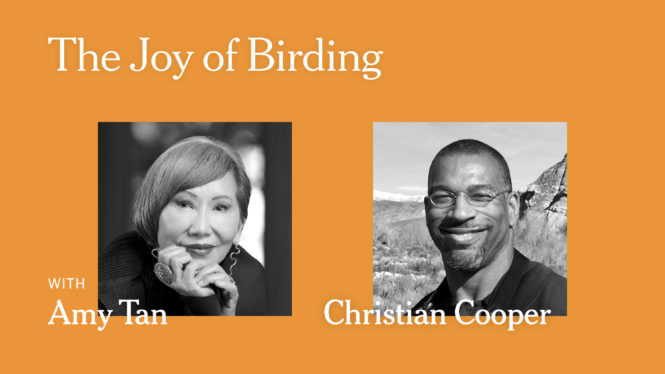 Christian Cooper and Amy Tan on How Birding Brings Them Joy: a Live Event