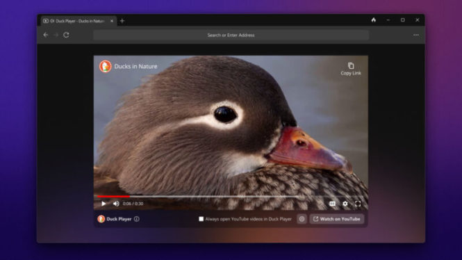 DuckDuckGo browser beta for Windows bakes in a lot of privacy tools