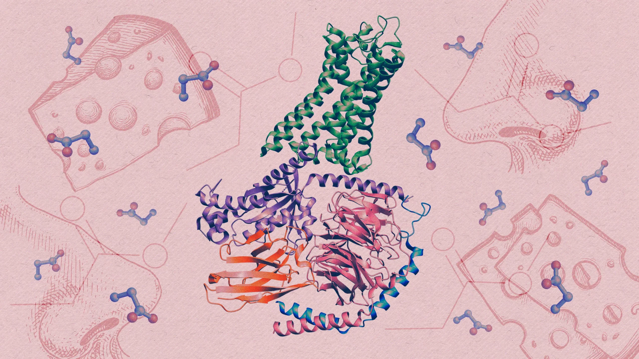 How a Human Smell Receptor Works Is Finally Revealed