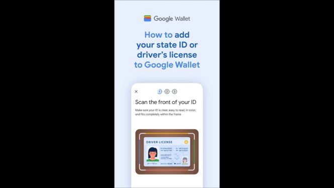 How to add your ID or driver’s license to Google Wallet
