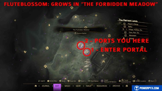 How to enter the Forbidden Meadow in Forspoken