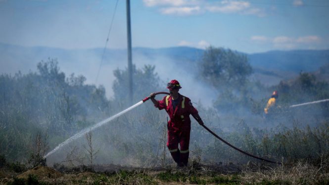 Hundreds of U.S. Firefighters Deployed North to Battle Canadian Wildfires