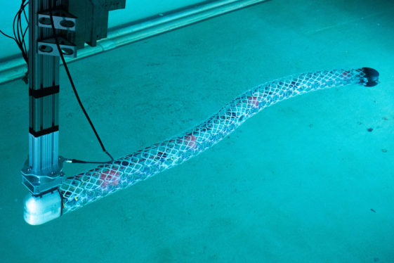 Modular eel robots combine soft and rigid components
