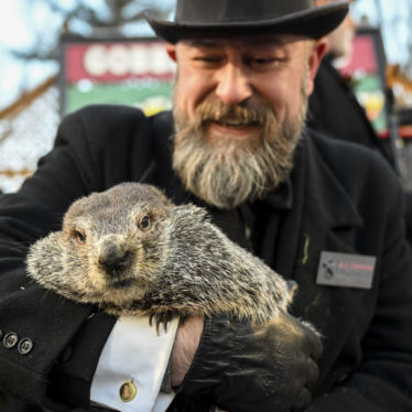 Punxsutawney Phil is terrible at Groundhog Day weather predictions