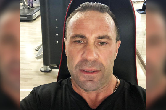 RHONJ: What Job Does Joe Giudice Do For A Living