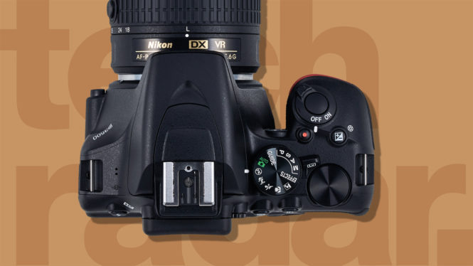 The Best DSLR Cameras Right Now