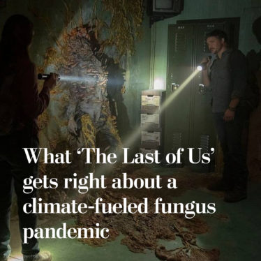 The Last of Us Is Right: Climate Change Is Making Fungi More Dangerous