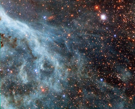 The Tarantula Nebula glows brightly in this week’s Hubble image