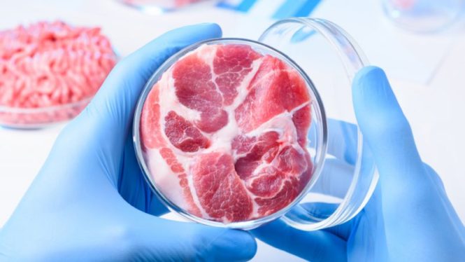 This week in foodtech: Cultivated meat is still a sizzling topic