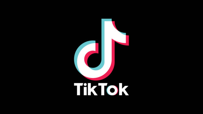 TikTok should be expelled from app stores, senator says