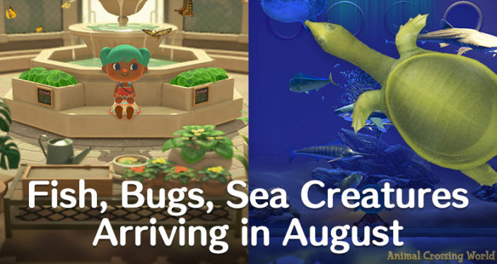 Animal Crossing: Everything New in August 2023 (Bugs, Fish, Seasonal Items)