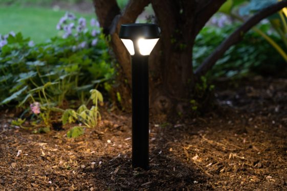 Best smart outdoor floodlights