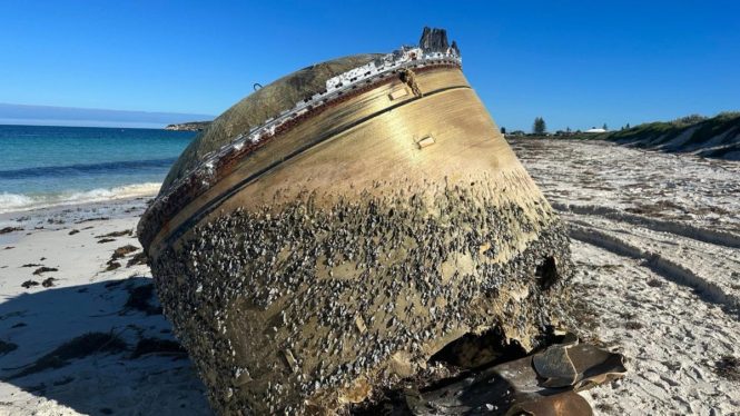 Bizarre Object Washes Ashore in Australia, Sparking Investigation