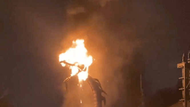 Disneyland Won’t Bring Back Robot Dragon After Fire, But Will Bring More Booze