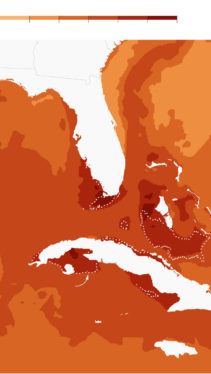 Florida Ocean Temperatures Are in the 90s Fahrenheit, Posing Risk to Coral