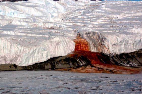 Has the century-old mystery of Antarctica’s “Blood Falls” finally been solved?