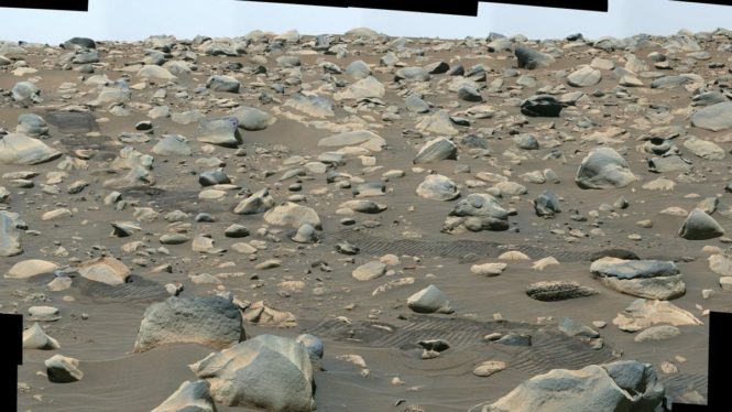 NASA Rover’s Newest Rock Sample Is a Gift From an Ancient Martian River