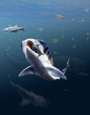 Smelling in stereo—a surprising find on a fossilized shark