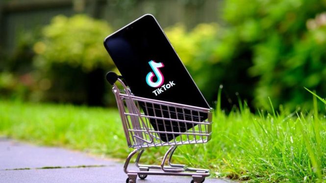 TikTok Is Going to Sell Cheap Junk in Competition With Shein and Temu