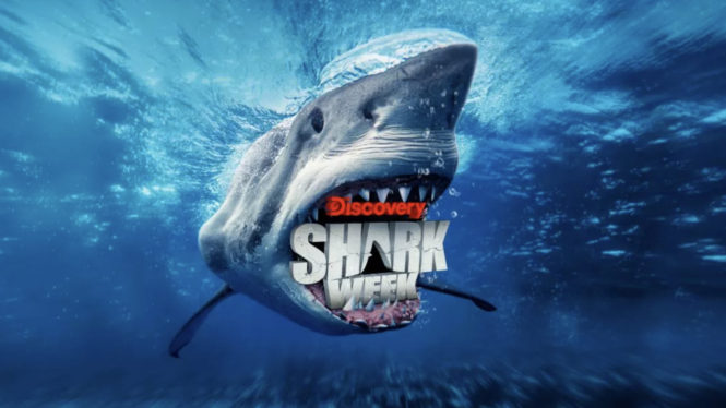 Where to watch Shark Week 2023: live stream for free