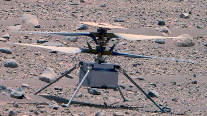 You Up? Mars Helicopter Finally Makes Contact After Two Months of Silence