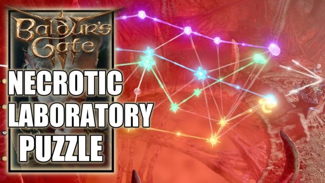 Baldur’s Gate 3: How To Solve The Necrotic Laboratory Puzzle