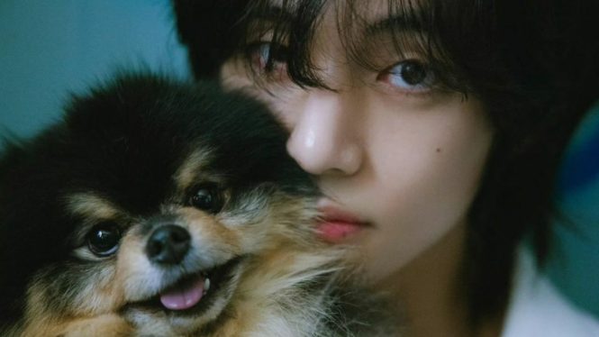 BTS’ V Stars Alongside His Adorable Pomeranian Yeontan in Concept Photos Previewing ‘Layover’ Solo Debut