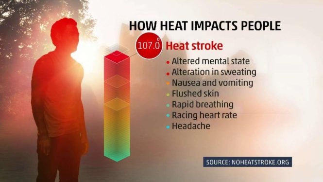 Extreme Heat and Your Body: What Happens When It Gets Too Hot?