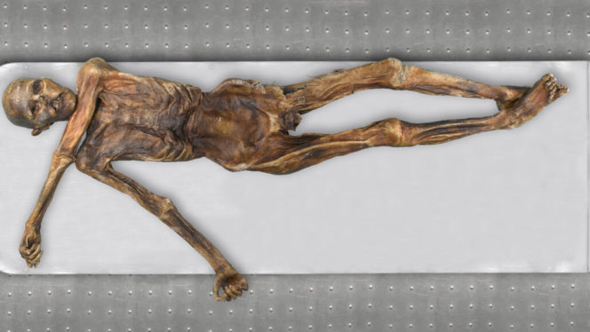 Genetic Analysis of ‘Ötzi the Iceman’ Reveals Ancient Mummy’s Ancestry