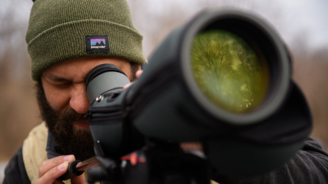 Is Social Justice for the Birds? Audubon Attempts an Answer.