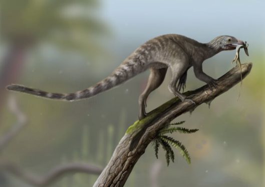 New Triassic fossil features sharp claws and a nasty beak