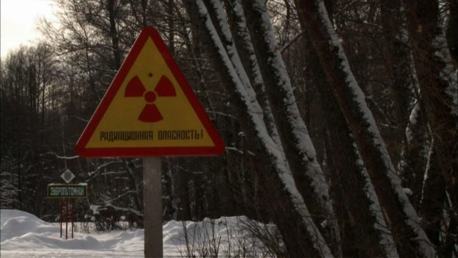 Nuclear Weapons Partly Responsible for Radioactive Wild Boars, Researchers Say