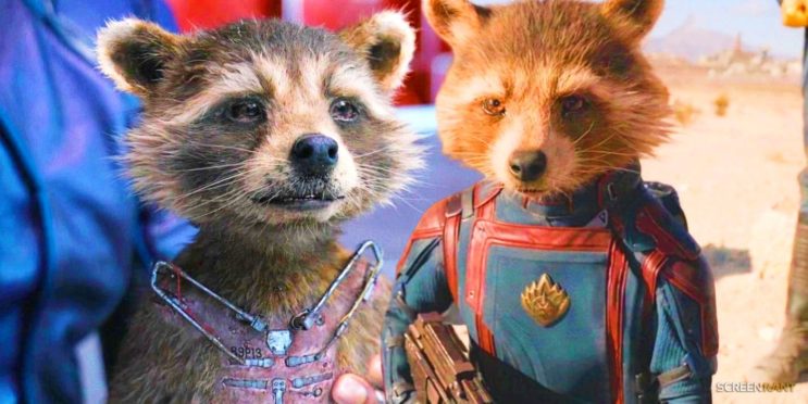 Rocket Raccoon’s MCU Story Arc Explained By A Therapist Makes James Gunn’s Story Even Better