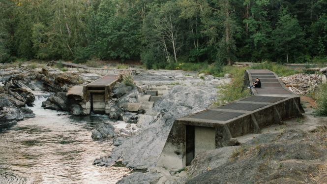 Salmon Die in Droves as Climate Change Burns Canada