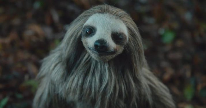 Slotherhouse: Release Date, Trailer & Everything We Know About The Killer Sloth Film