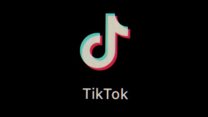 The Feds Asked TikTok for Lots of Domestic Spying Features