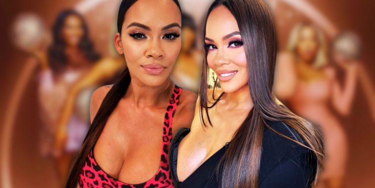 What Happened To Evelyn Lozada After Basketball Wives Season 9?